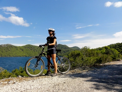 Dalmatia South Bike Cruise cruise image