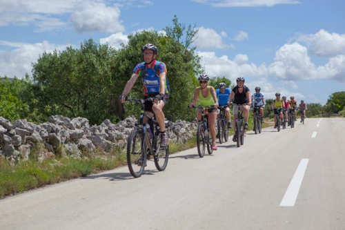 Dalmatia North Bike Cruise cruise image