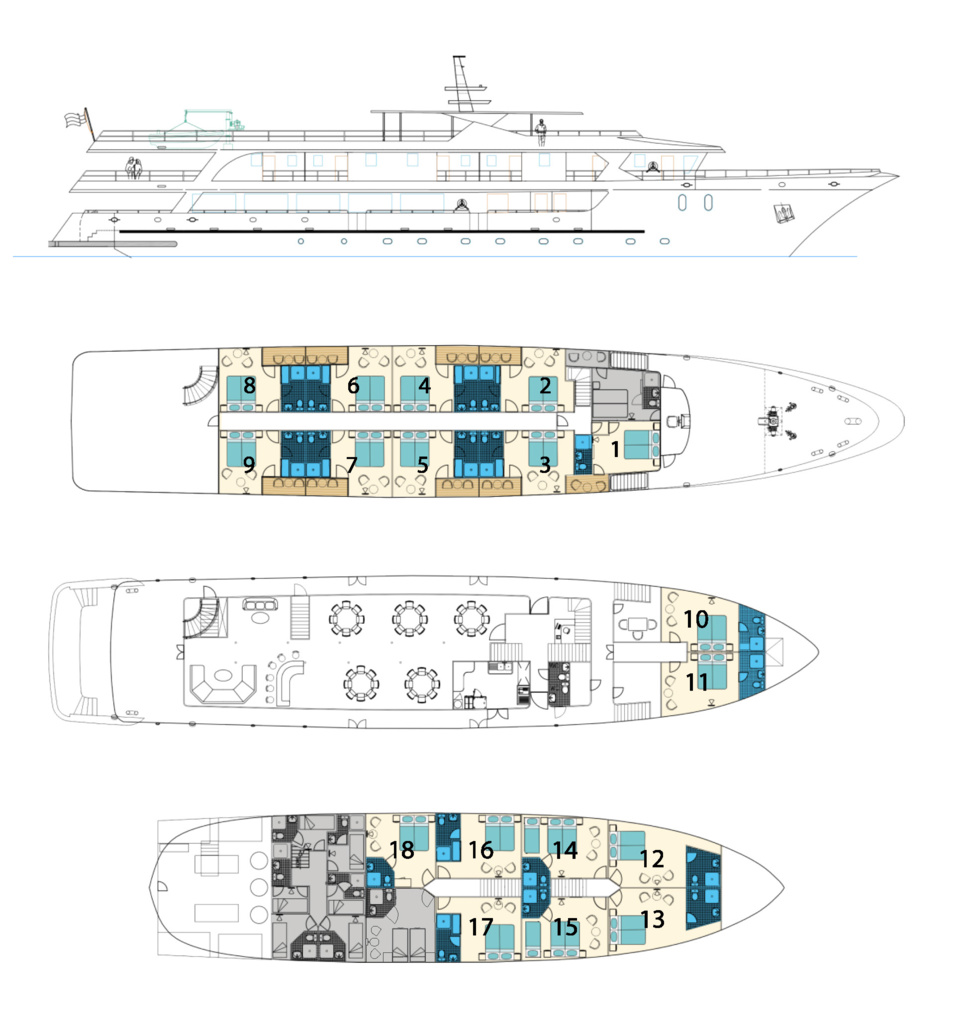 MARKAN_DeckPlan