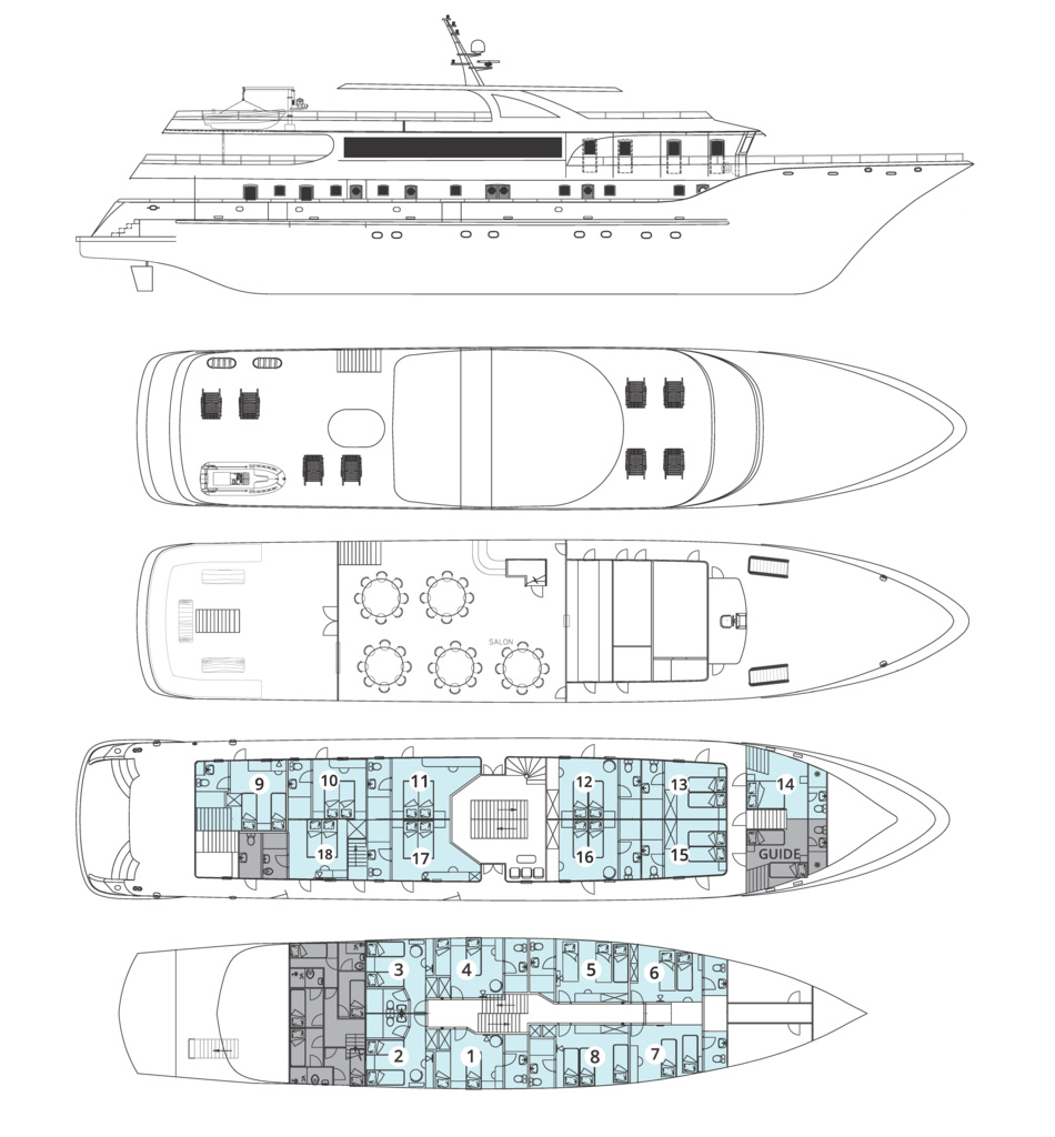 Alpha DECK PLAN