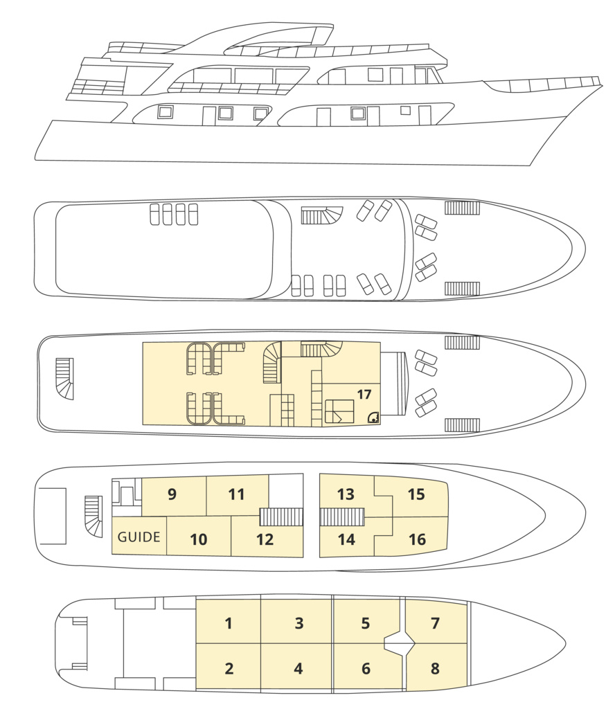 Olmissum_DECK_PLAN