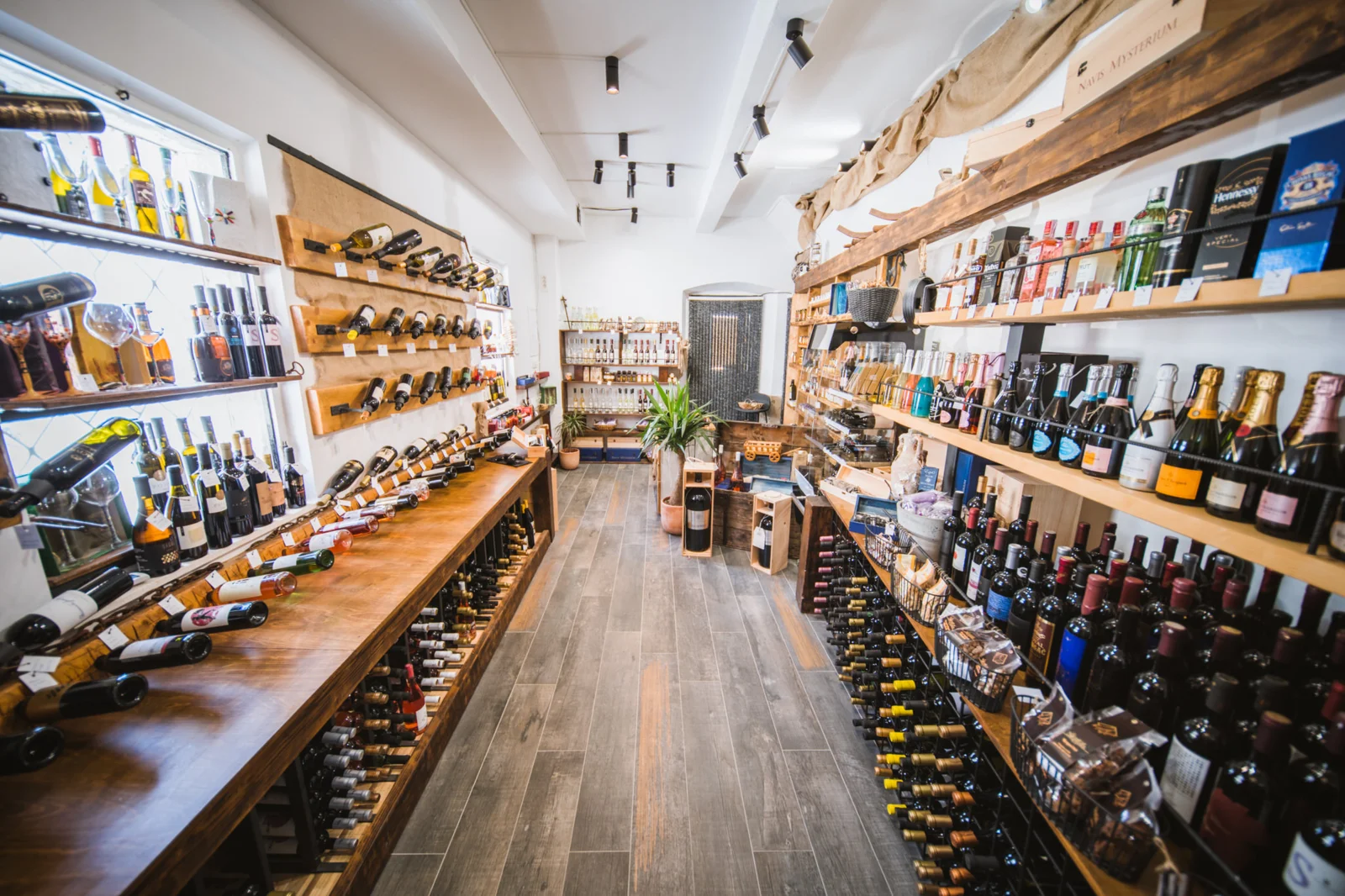 480486101_1156272819538971_1012306776008478138_n