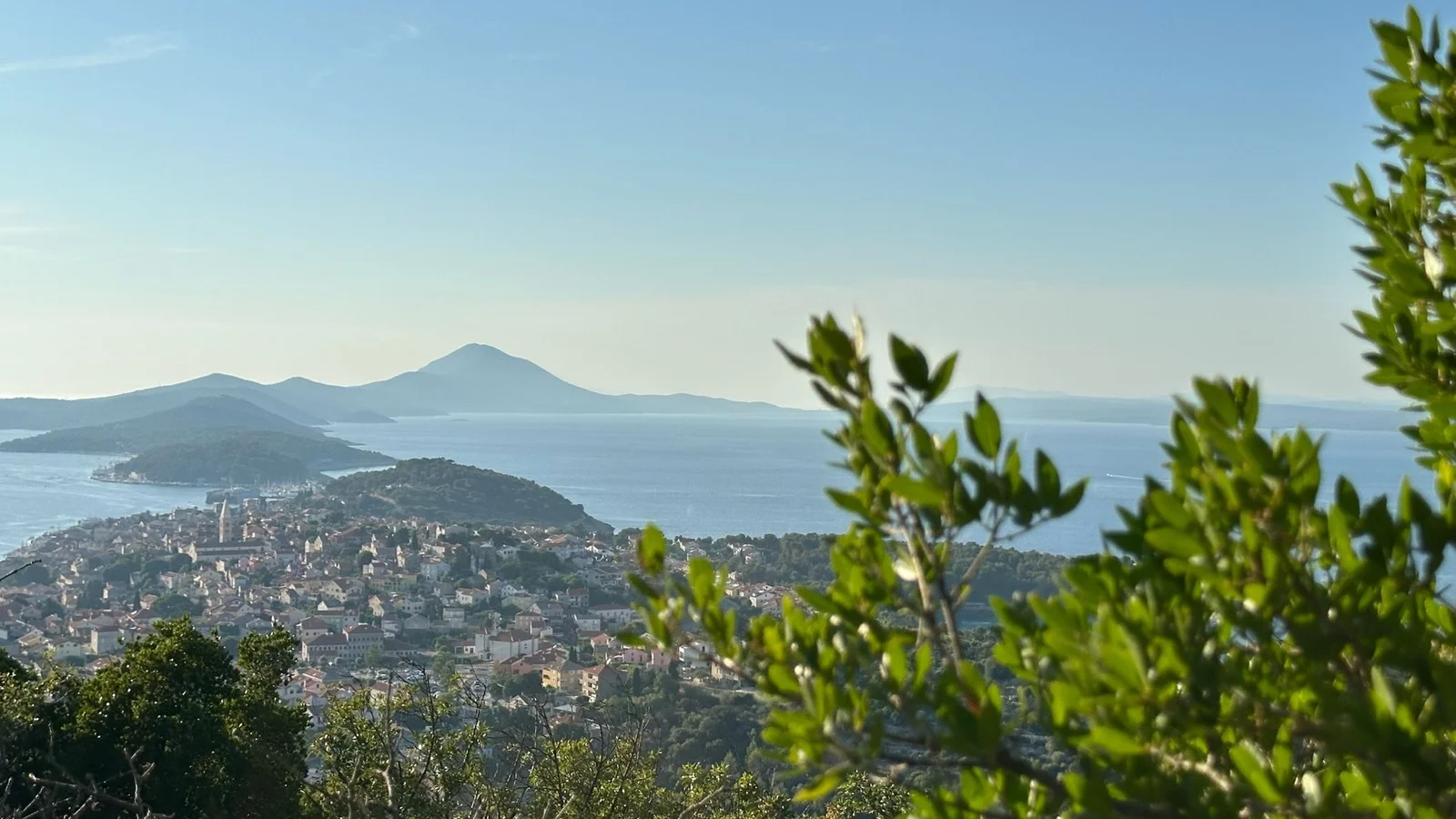 8518F98E-F059-407B-B8B4-7C5B8E6D9F42 (1)