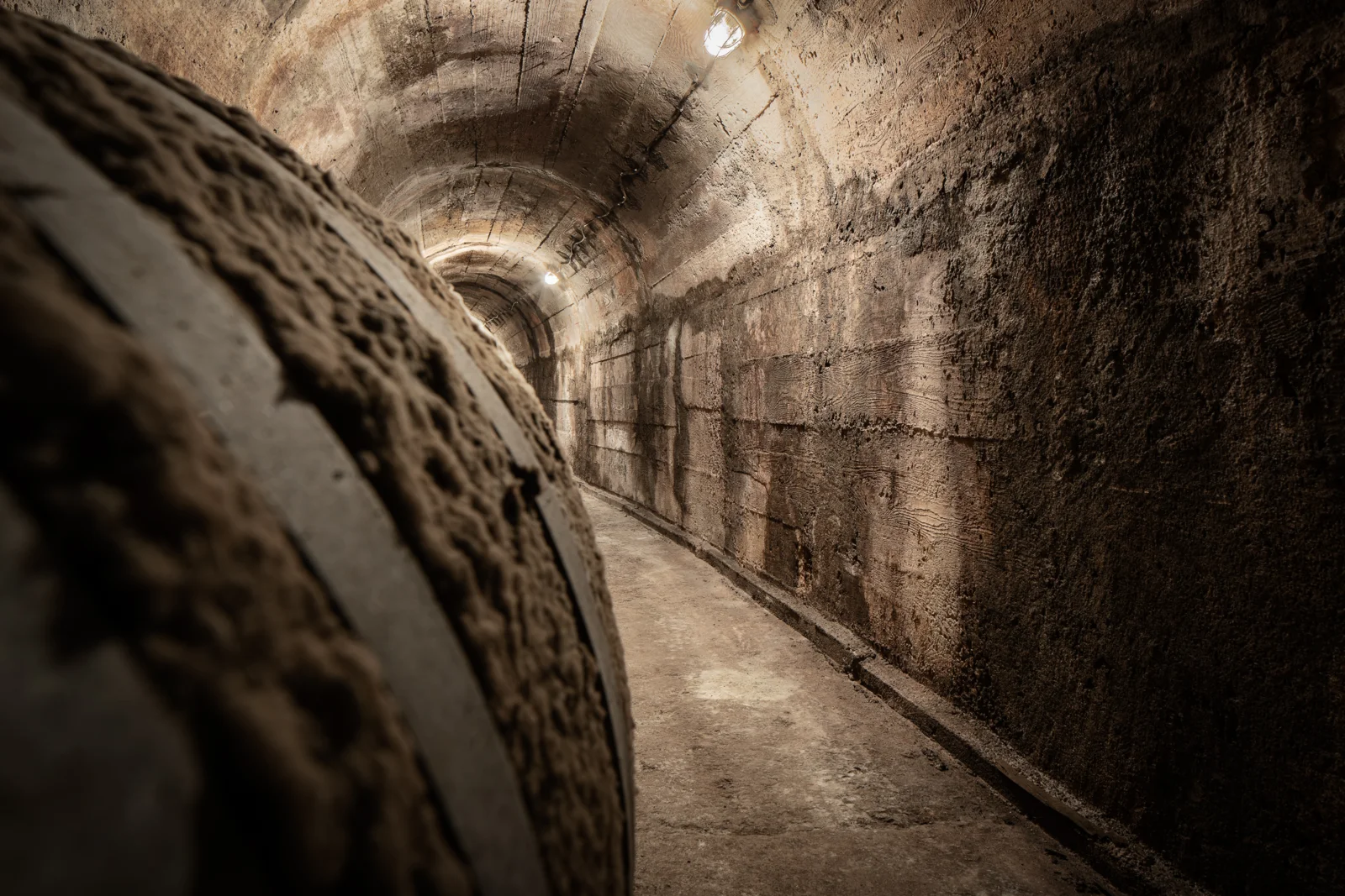 Lipanovic_Podrum (5)