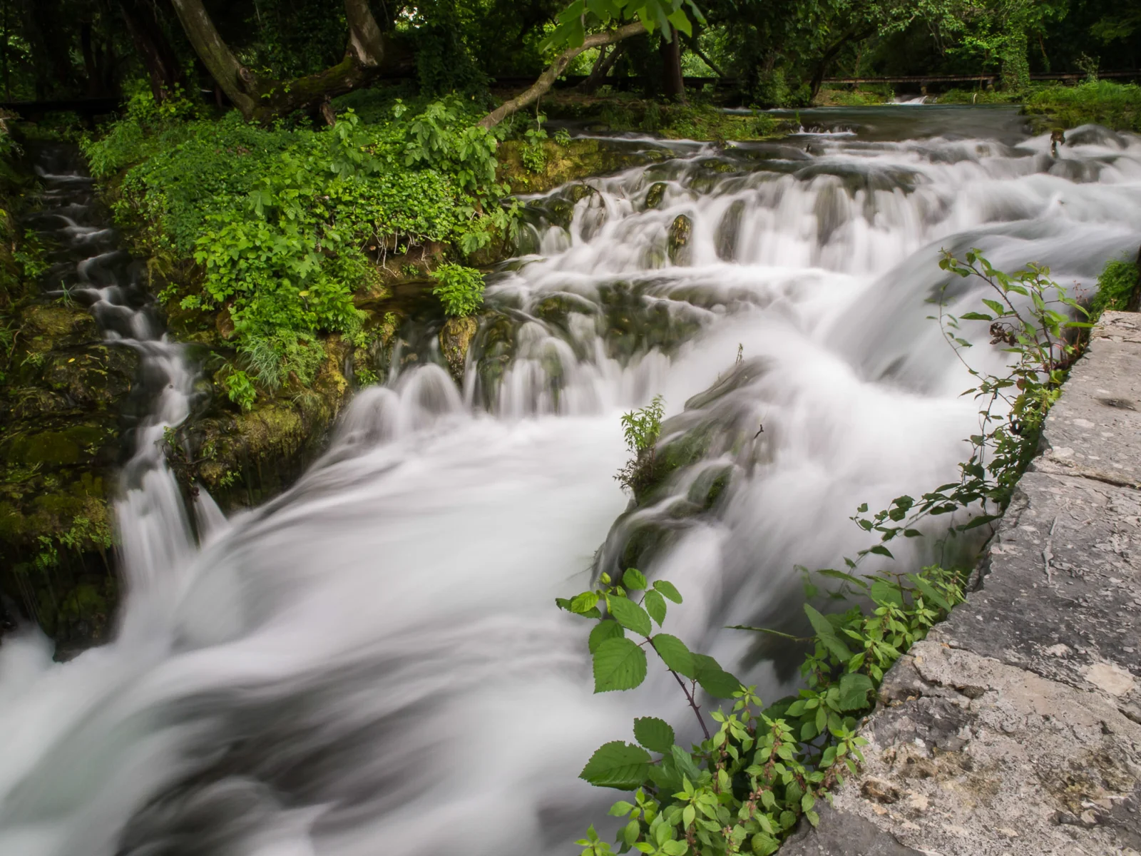 NP KRKA (16)