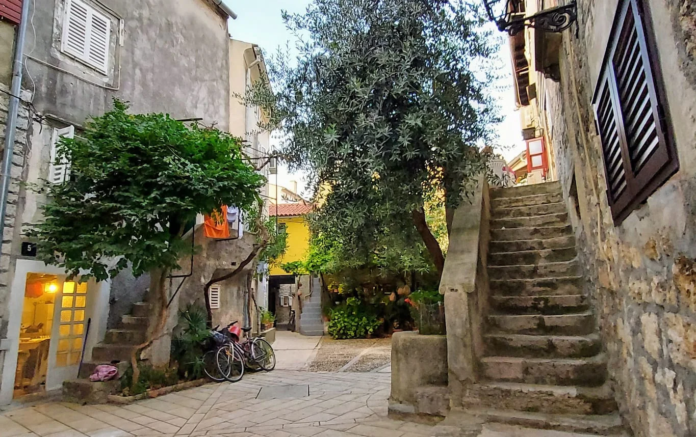 WhatsApp Image 2021-10-22 at 07.52.00 (3)