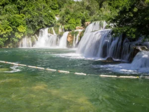 NP KRKA (5)