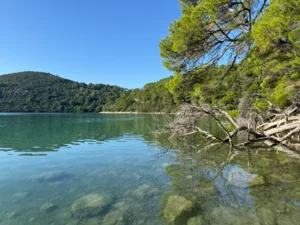 Mljet 2025_EK (57)