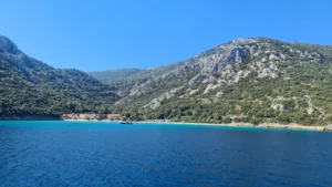 Divna Peljesac (1)