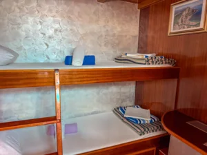 Moja Maja 2025 EK (12)