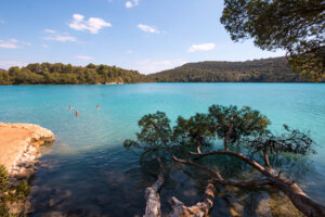Beach on Mljet