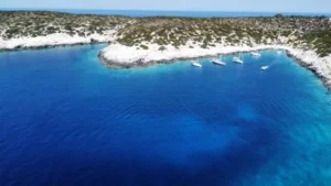 ac098e68-9fe1-4a07-8239-0a643dd29edd