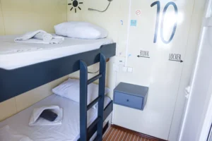 Panorama (TE) 2025 LG (4)