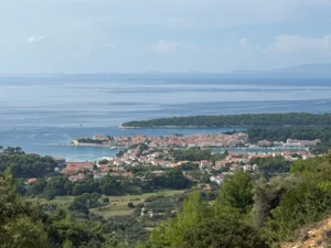 Rab (61)