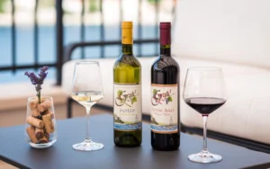 vinarija-grgić-pelješac-067-1-800x500