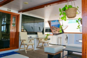 Markan 07.2025. EKW-110