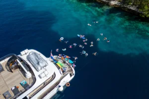 Aurelia_drone - 0051