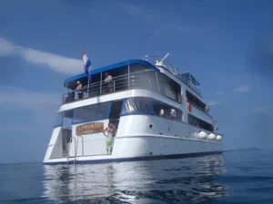 plotter@seaworld.org.za (2)