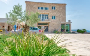 vinarija-grgić-pelješac-038-1-800x500