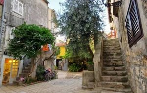 WhatsApp Image 2021-10-22 at 07.52.00 (3)