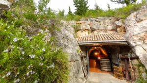 Lipanovic_Podrum (1)