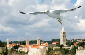 island-of-rab-2145984_1920