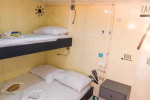 Panorama (TE) 2025 LG (51)