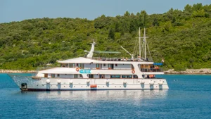 resizeKatarina_Line-98