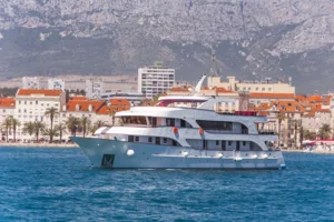 Moonlight 2025 by Kaye Smith (1)