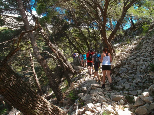Light Hike Cruise Dalmatia | Split - Split cruise image