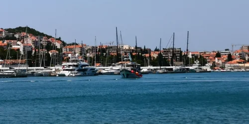 IMG_20250609_122223 Miho Bender