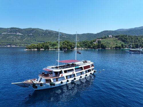 Dalmatia image