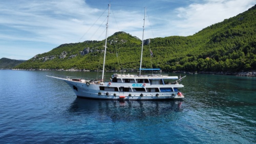 Jadranska Kraljica image