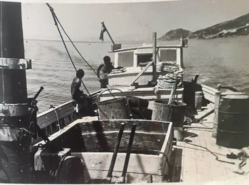 Captain Zoran Ercegović & MV Labrador images 10