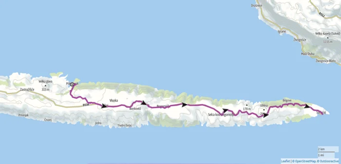 02 pokrivenik - sucuraj