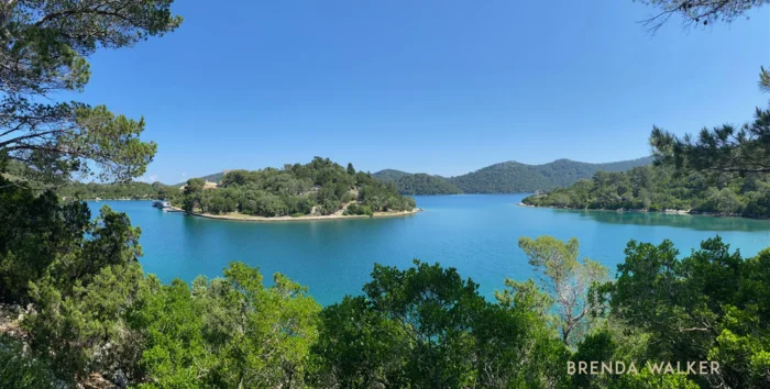 photo by Brenda Walker