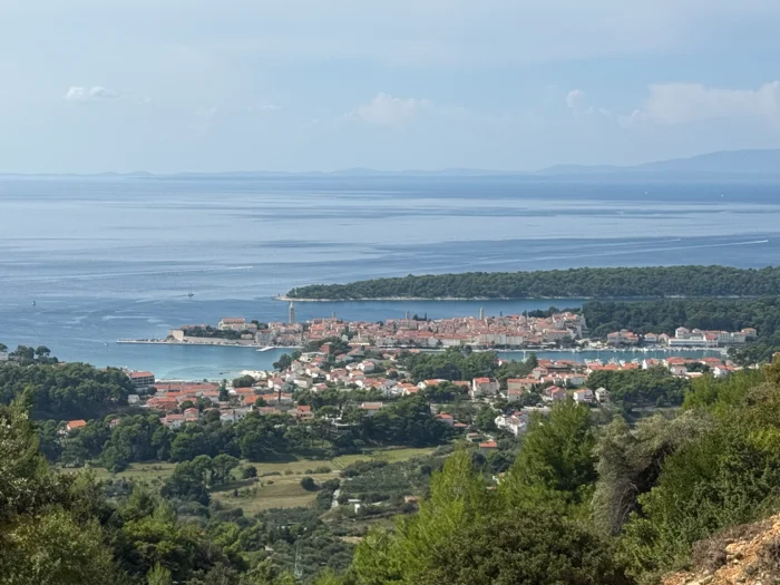 Rab (61)