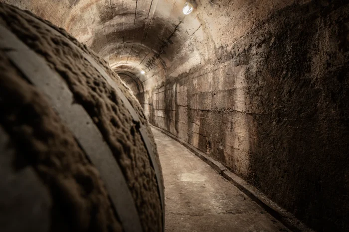 Lipanovic_Podrum (5)