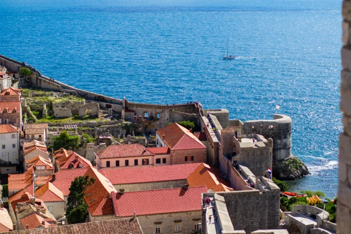 33488427118_a8a835da4f_o