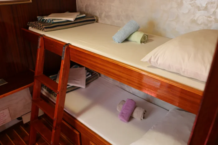 Moja Maja 2025 EK (51)