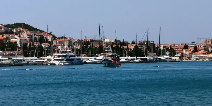 IMG_20250609_122223 Miho Bender