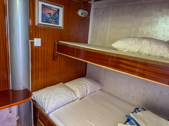 Moja Maja 2025 EK (21)