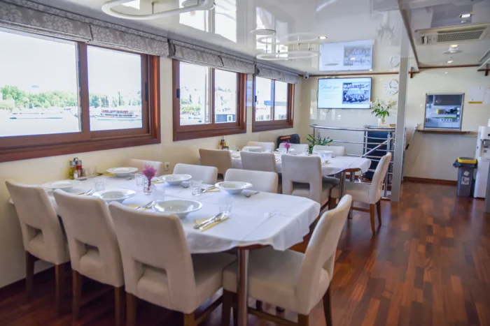 Dream (PS) 2025 LG (27)-2