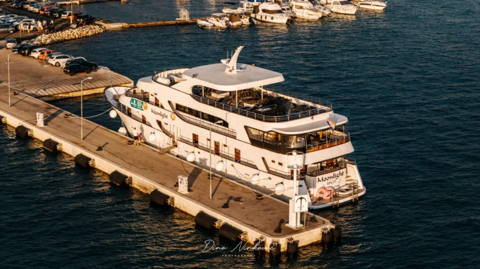 Moonlight DINO_NINKOVIC_DENINE_PRODUCTION-33