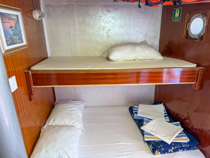 Moja Maja 2025 EK (22)