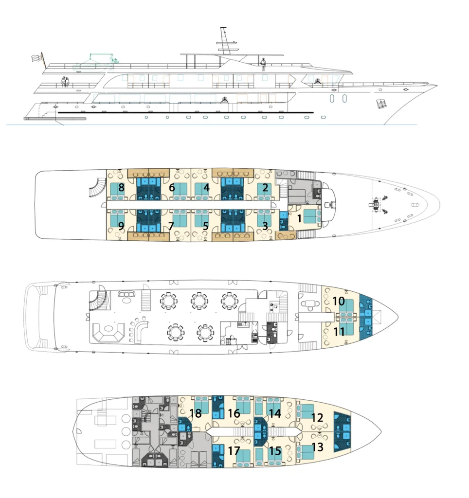 Markan MV Markan | Deluxe Superior Ship Experience
