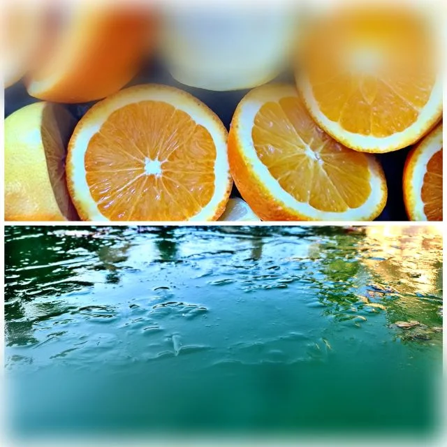 oranges image