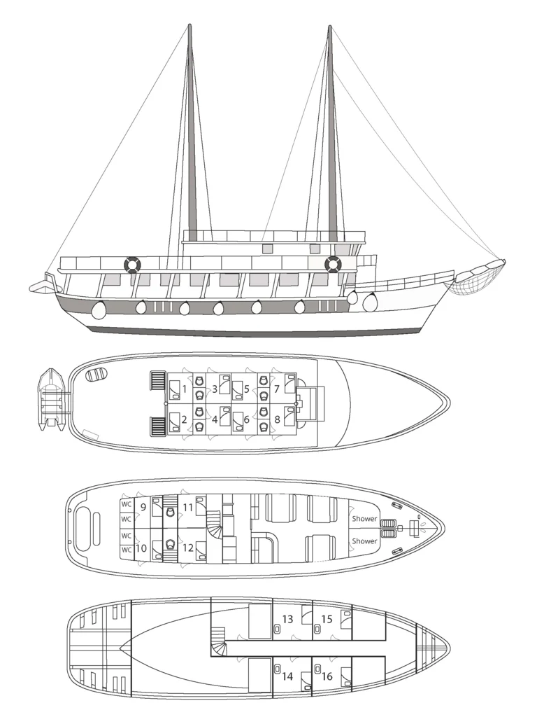 Viktorija- Deck Plan