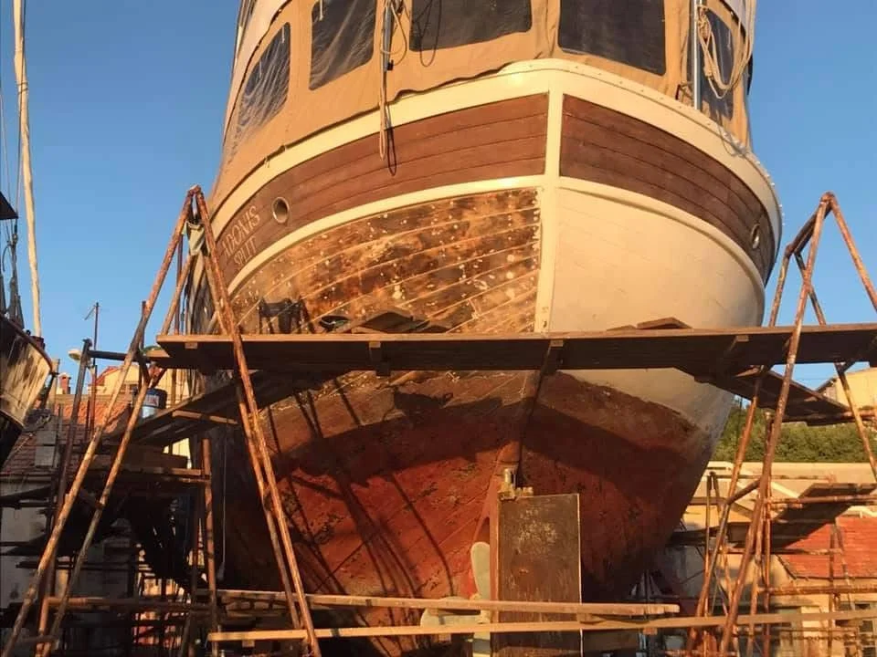 WhatsApp Image 2025-03-27 at 15.47.43